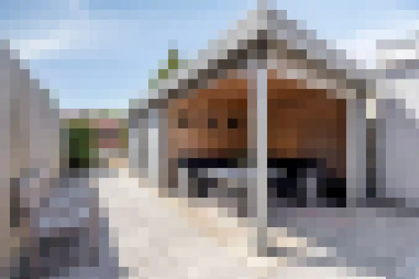 Wouwsestraat 69 Steenbergen thumbnail 32