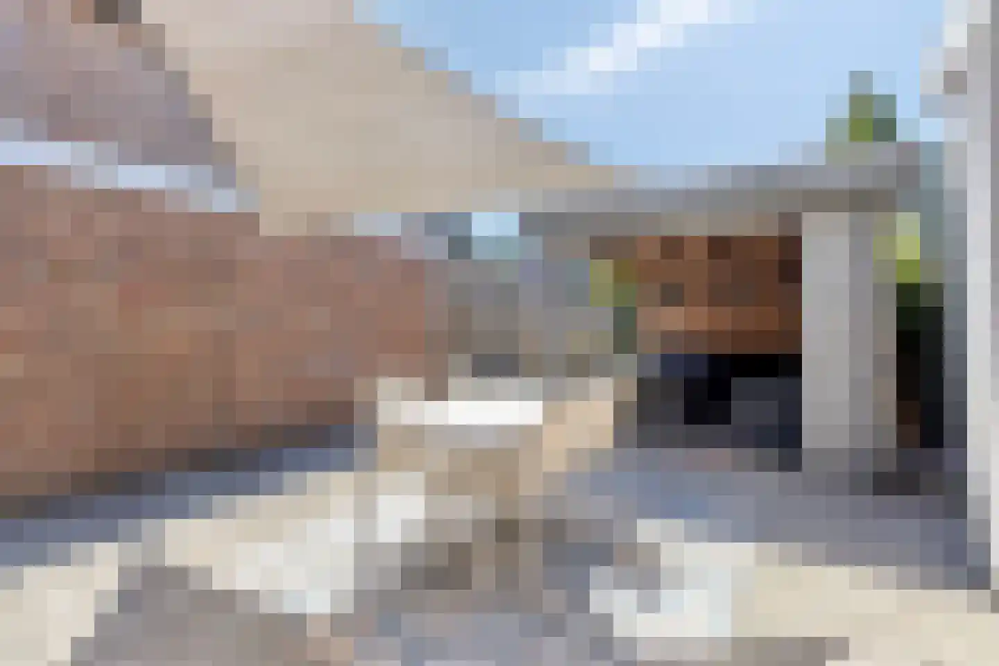Wouwsestraat 69 Steenbergen thumbnail 33