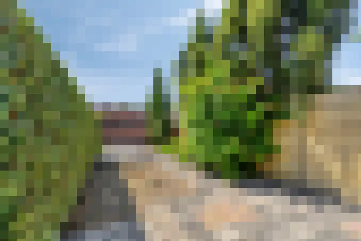 Wouwsestraat 69 Steenbergen thumbnail 36