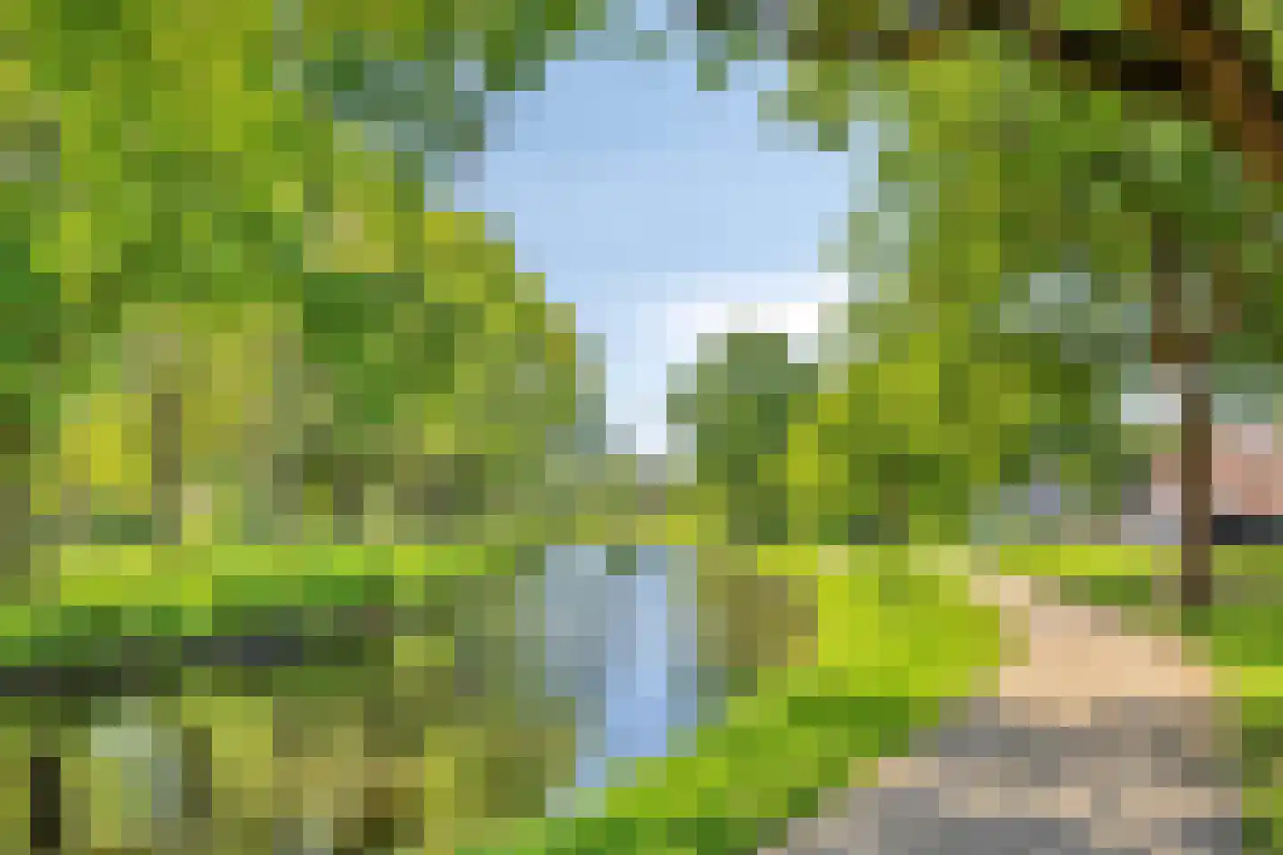 Wouwsestraat 69 Steenbergen thumbnail 38