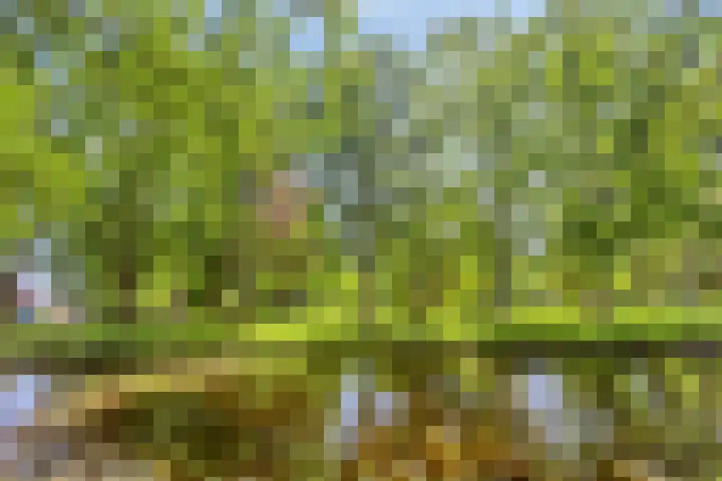 Wouwsestraat 69 Steenbergen thumbnail 39