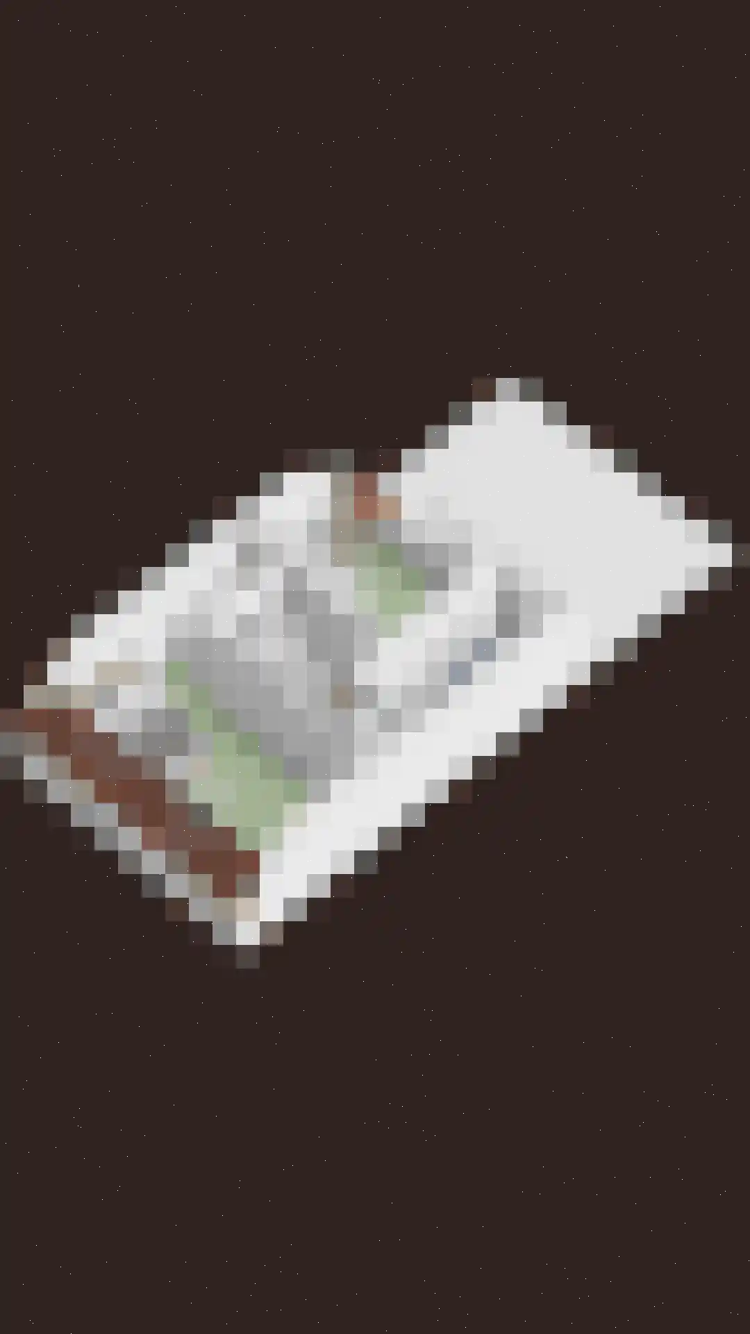 Wouwsestraat 69 Steenbergen thumbnail 44
