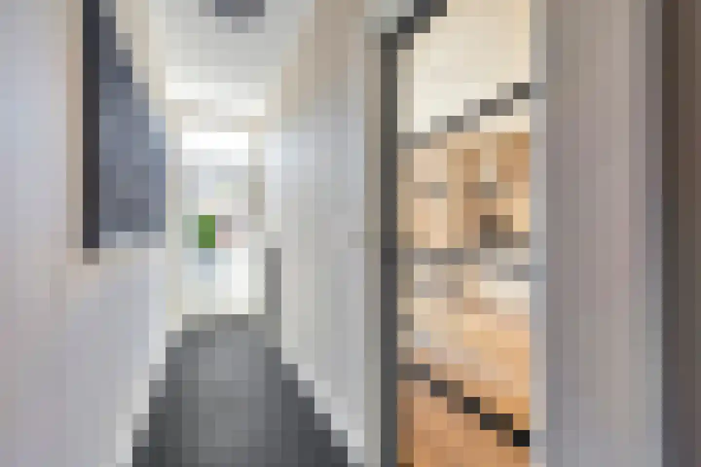 Wouwsestraat 69 Steenbergen thumbnail 9