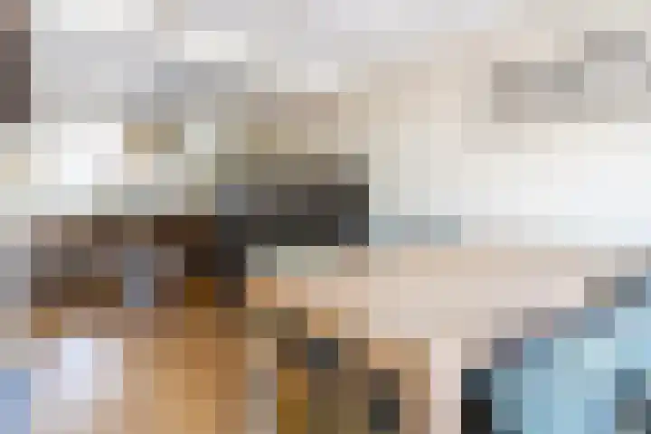 Wouwsestraat 7 Steenbergen thumbnail 10