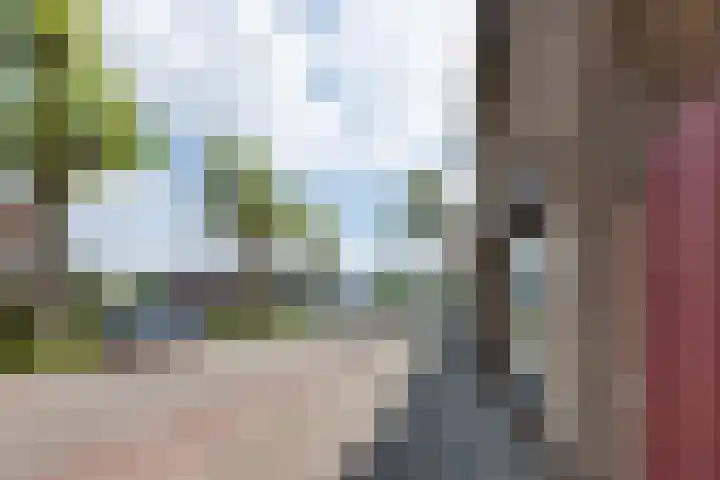 Wouwsestraat 7 Steenbergen thumbnail 4