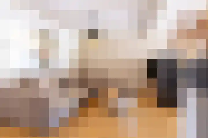 Wouwsestraat 7 Steenbergen thumbnail 8