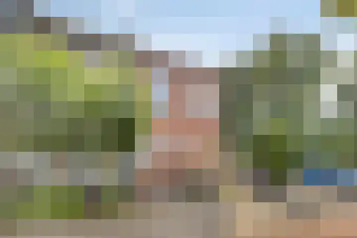 Wouwsestraatweg 2 a Bergen op Zoom thumbnail 17