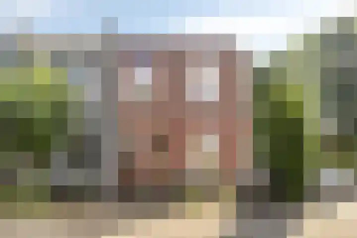 Wouwsestraatweg 2 a Bergen op Zoom thumbnail 18