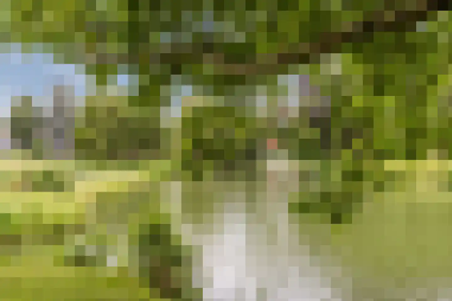 Wouwsestraatweg 2 a Bergen op Zoom thumbnail 35