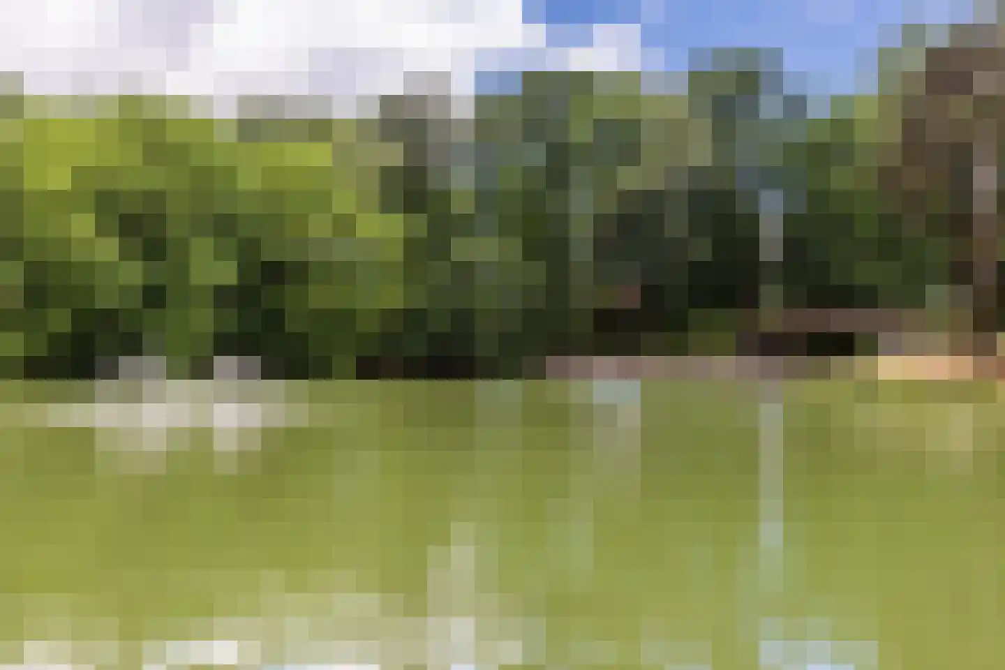Wouwsestraatweg 2 a Bergen op Zoom thumbnail 36