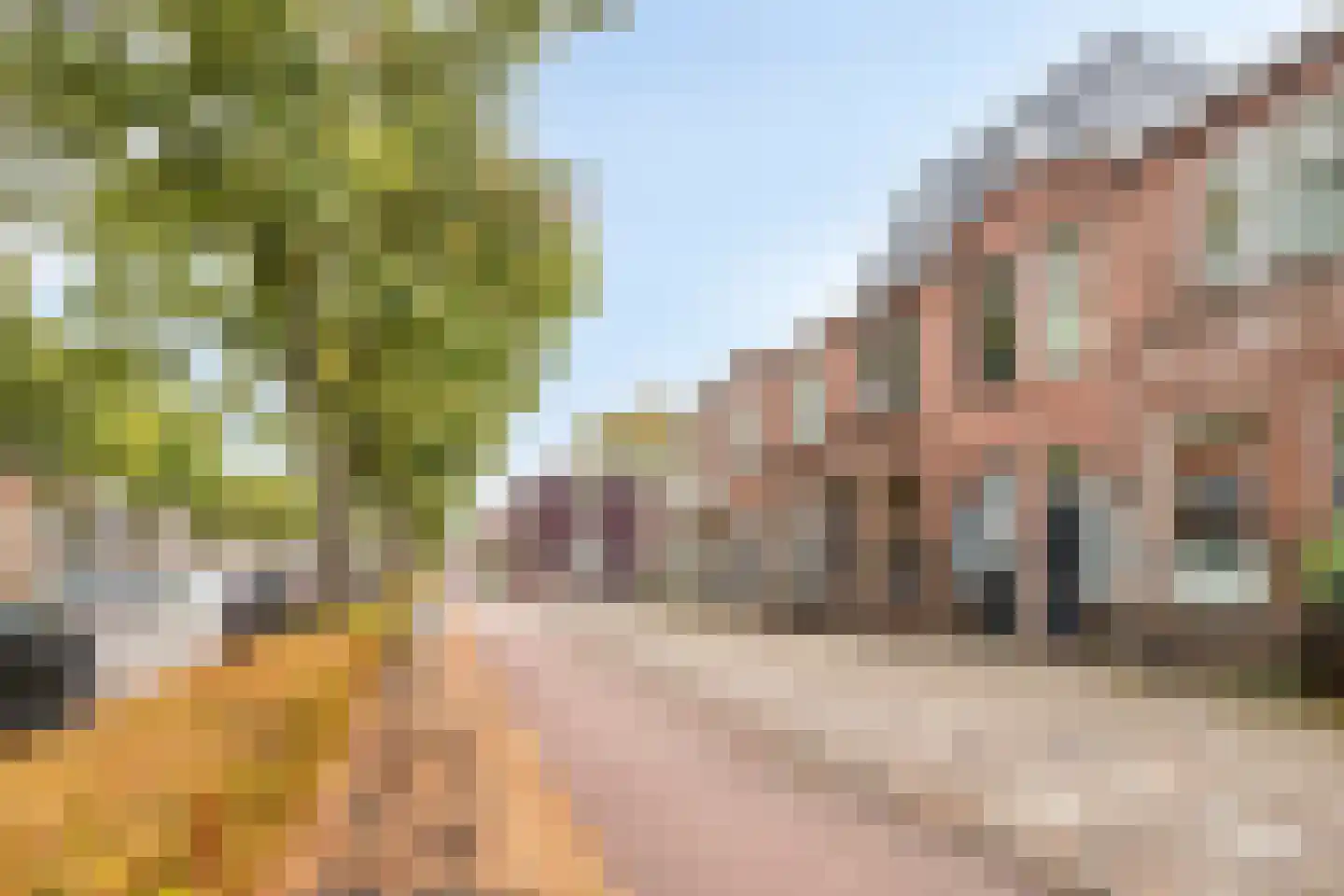 Wouwsestraatweg 28 Bergen op Zoom thumbnail 39