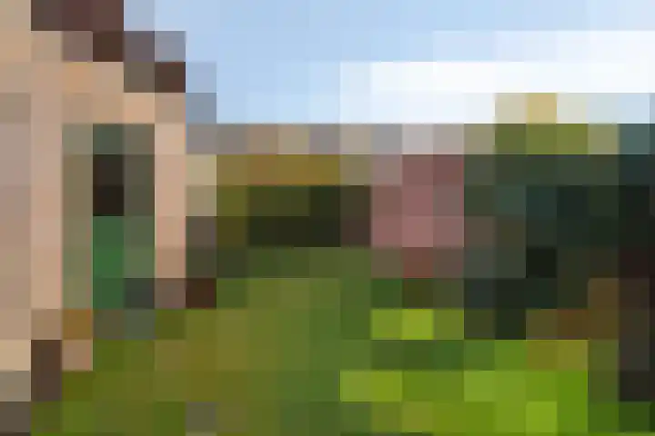 Wouwsestraatweg 43 Bergen op Zoom thumbnail 35