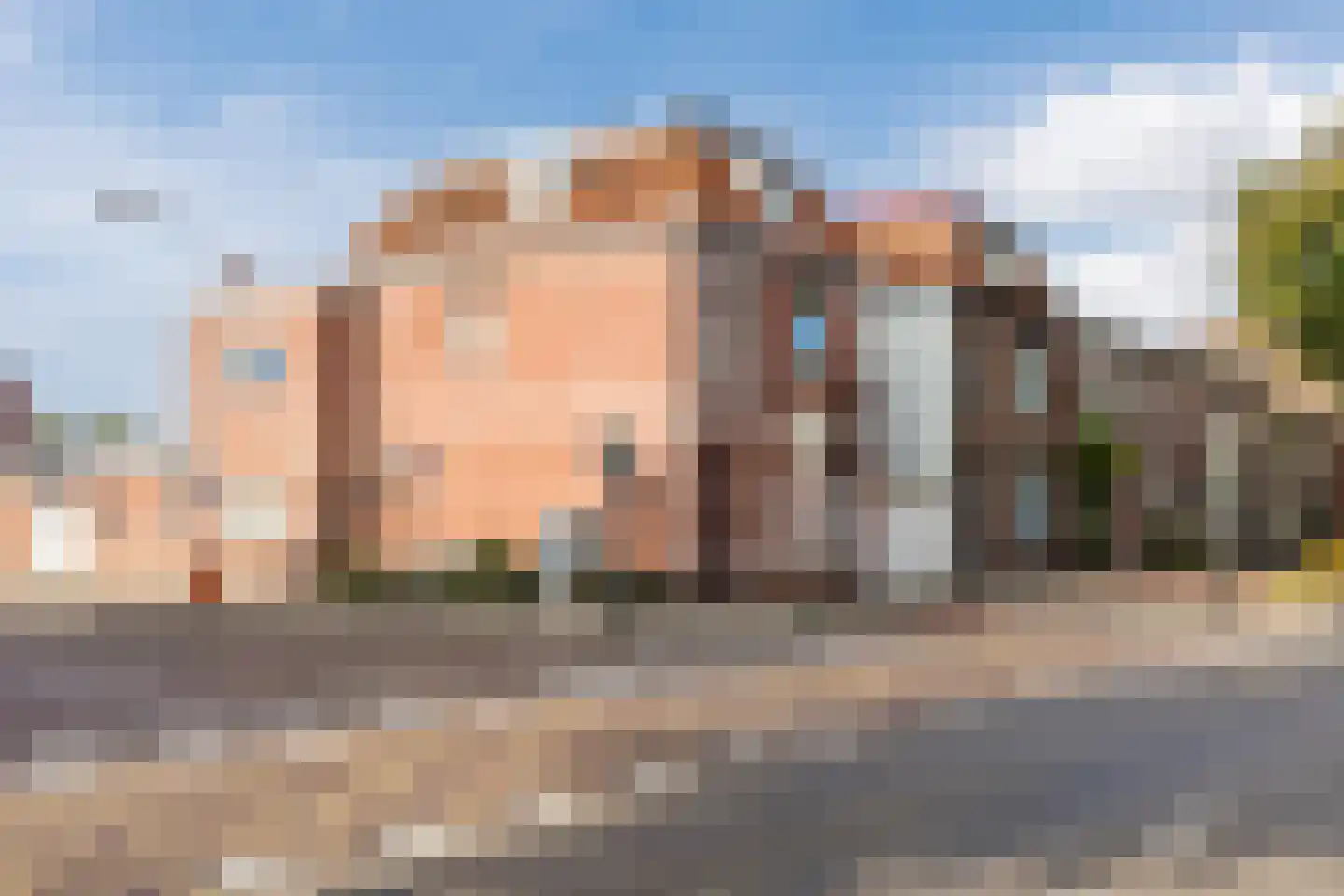 Wouwsestraatweg 52 Bergen op Zoom thumbnail 47