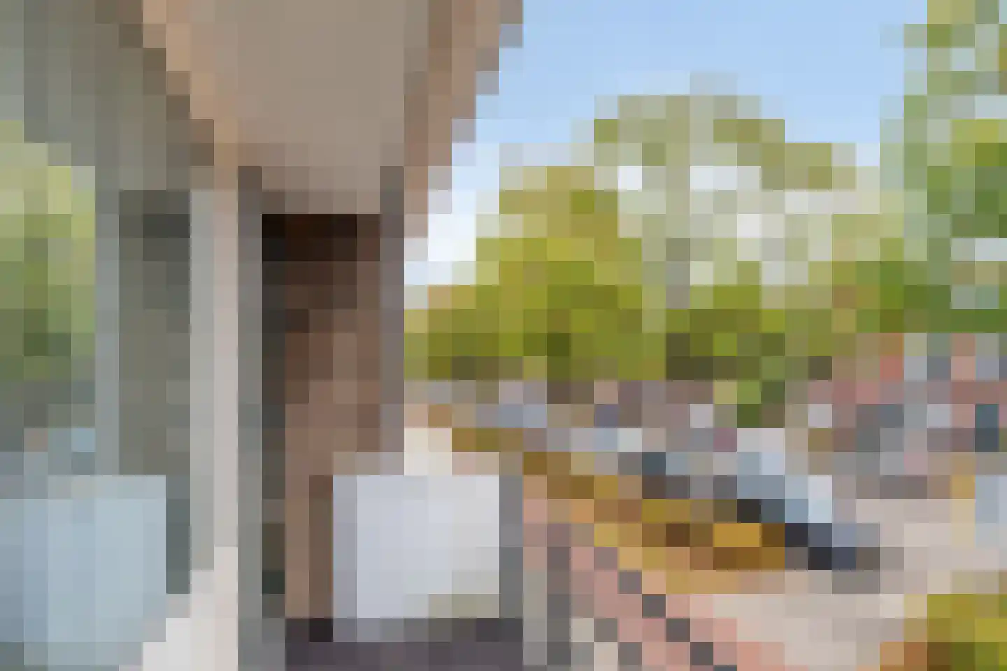 Wouwsestraatweg 59 Bergen op Zoom thumbnail 27