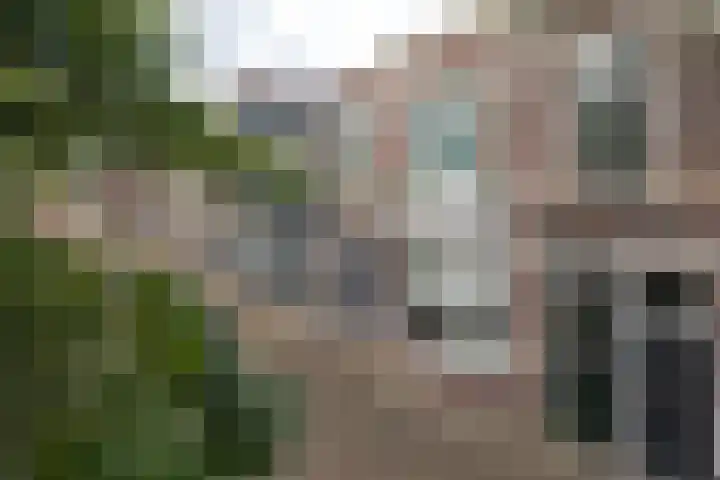 Wouwsestraatweg 8 Bergen op Zoom thumbnail 4