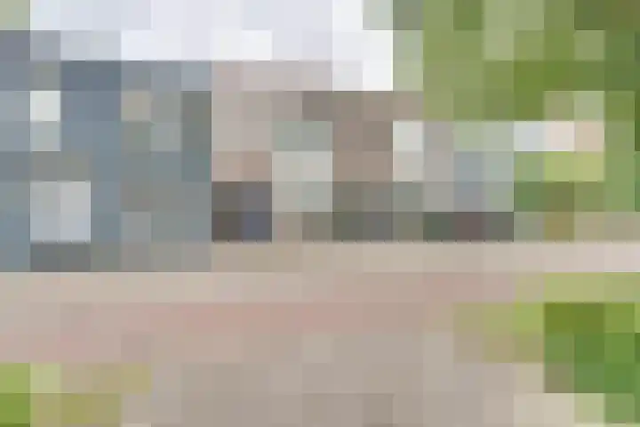 Wouwsestraatweg 8 Bergen op Zoom thumbnail 5