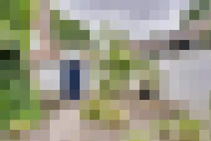 Wouwsestraatweg 8 Bergen op Zoom thumbnail 50