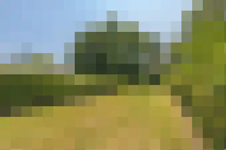 Wouwseweg 113 Roosendaal thumbnail 42