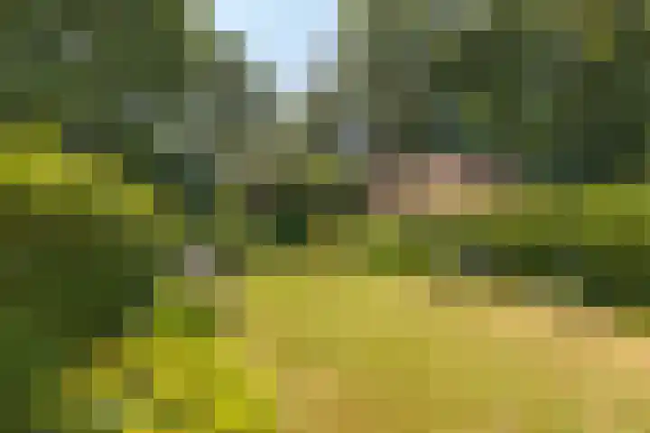 Wouwseweg 113 Roosendaal thumbnail 43