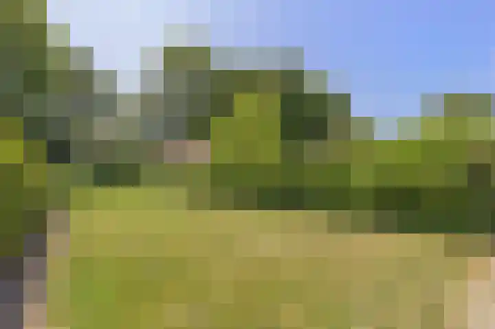 Wouwseweg 113 Roosendaal thumbnail 5