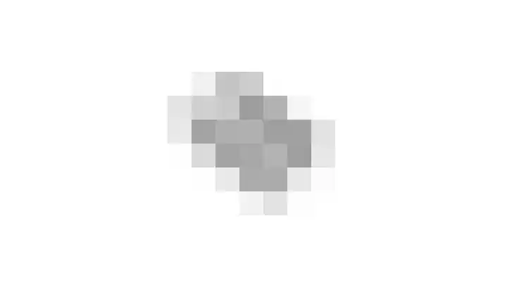 Wouwseweg 113 Roosendaal thumbnail 64