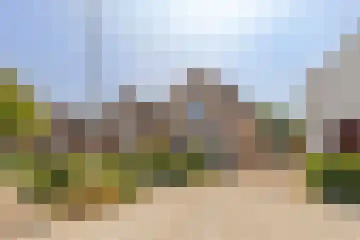 Wouwseweg 113 Roosendaal thumbnail 71