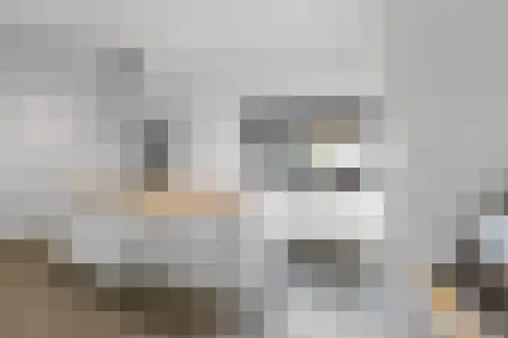 Wouwseweg 13 Roosendaal thumbnail 12
