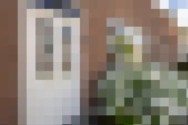 Wouwseweg 13 Roosendaal thumbnail 37