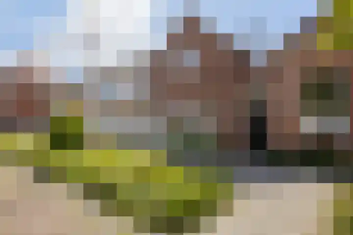 Wouwseweg 13 Roosendaal thumbnail 39