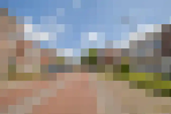 Wouwseweg 13 Roosendaal thumbnail 41
