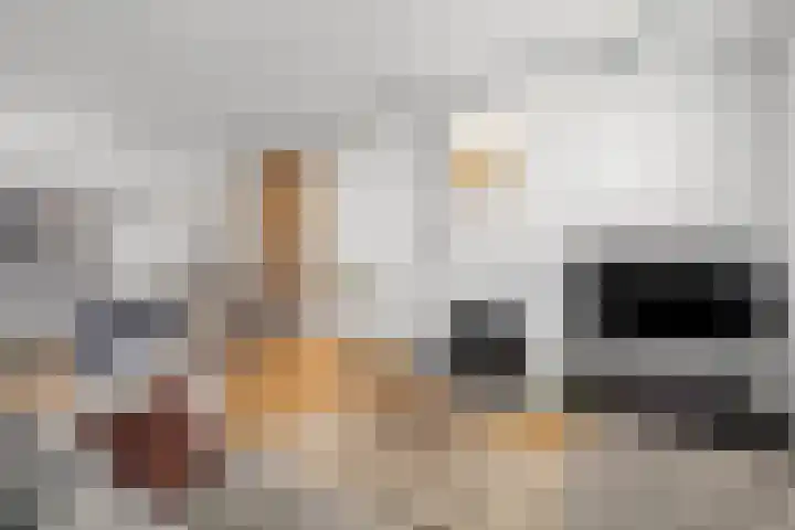 Wouwseweg 13 Roosendaal thumbnail 6
