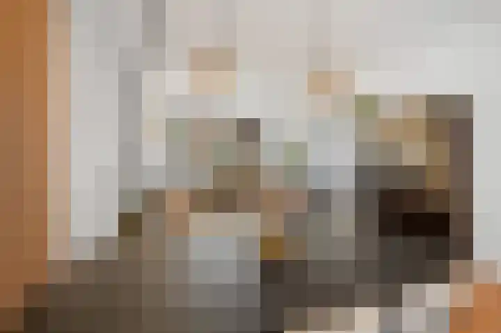 Wouwseweg 13 Roosendaal thumbnail 8