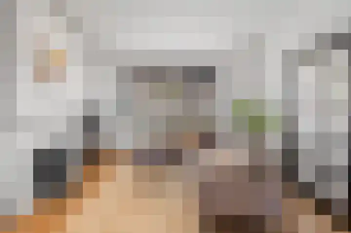 Wouwseweg 13 Roosendaal thumbnail 9