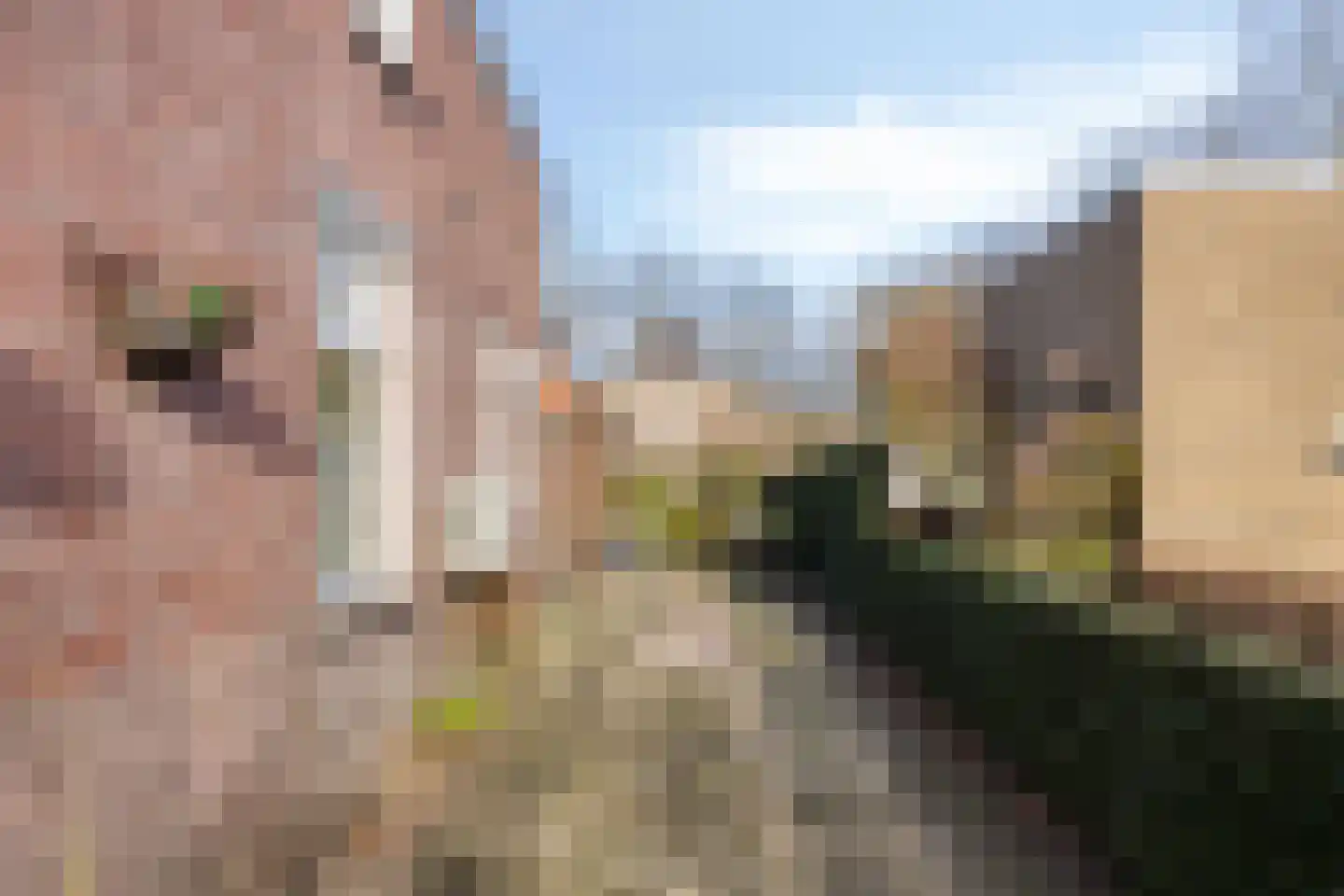 Wouwseweg 156 Roosendaal thumbnail 38