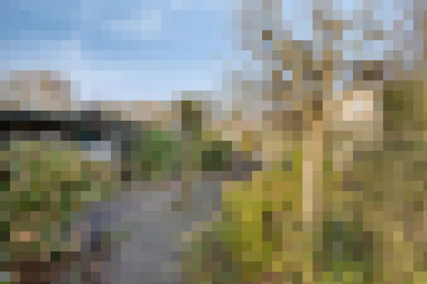 Wouwseweg 156 Roosendaal thumbnail 42