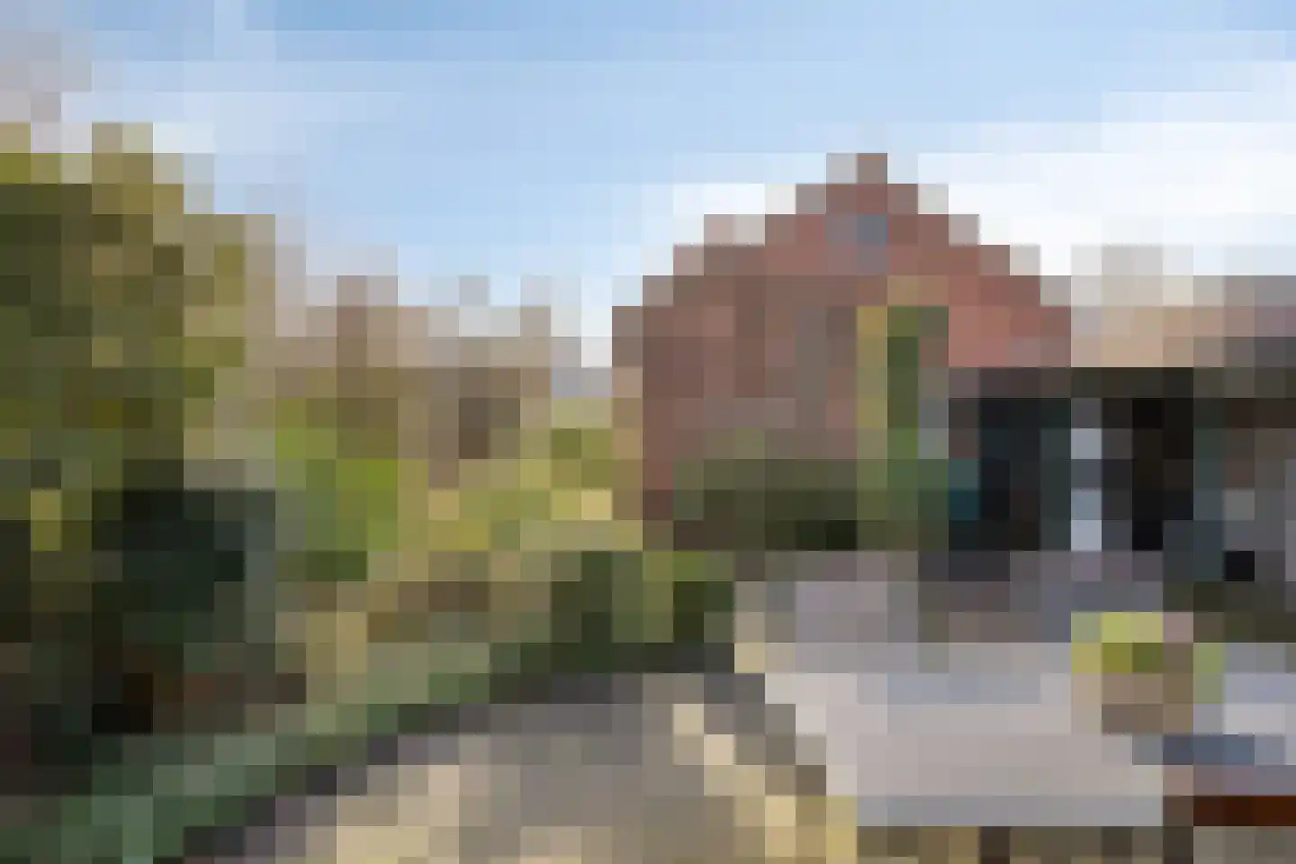 Wouwseweg 156 Roosendaal thumbnail 44