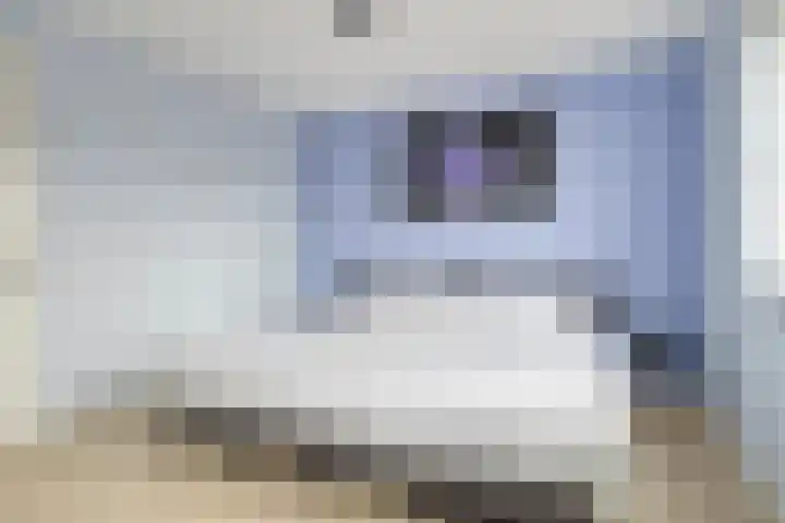 Wouwseweg 17 c Halsteren thumbnail 12