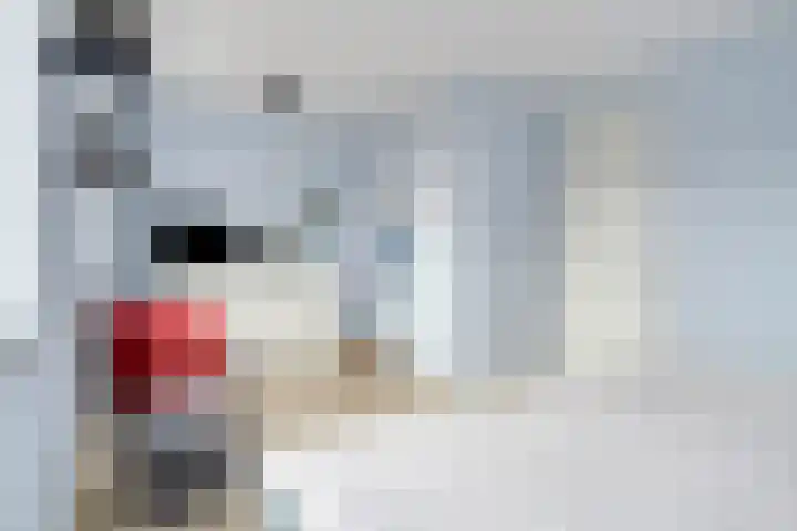 Wouwseweg 17 c Halsteren thumbnail 13