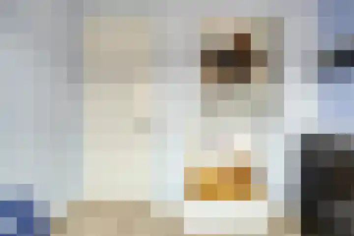 Wouwseweg 17 c Halsteren thumbnail 15