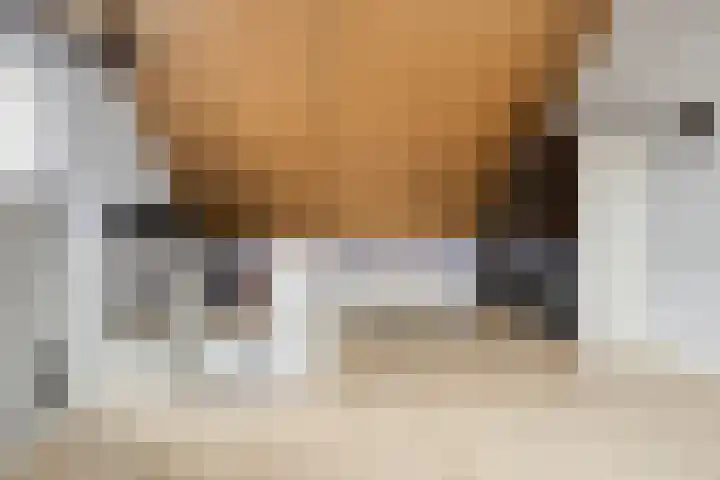 Wouwseweg 17 c Halsteren thumbnail 20