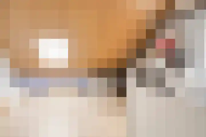 Wouwseweg 17 c Halsteren thumbnail 21