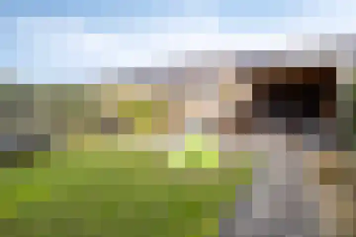 Wouwseweg 17 c Halsteren thumbnail 22