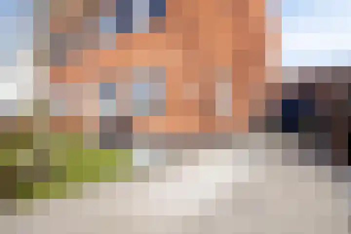 Wouwseweg 17 c Halsteren thumbnail 24