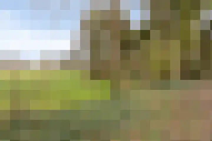 Wouwseweg 17 c Halsteren thumbnail 25