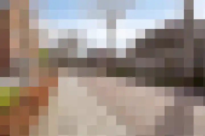 Wouwseweg 17 c Halsteren thumbnail 26