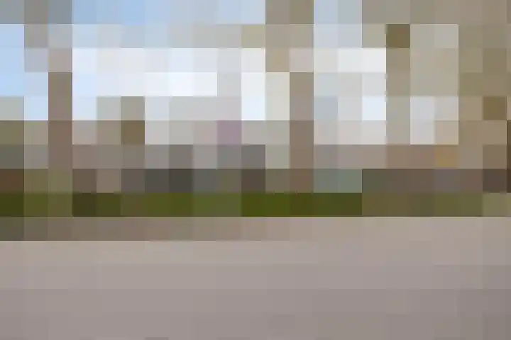 Wouwseweg 17 c Halsteren thumbnail 27