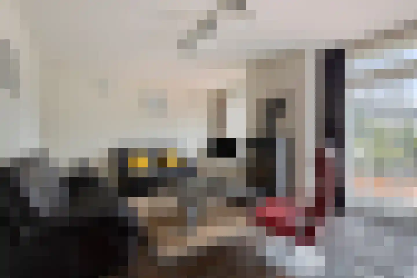 Wouwseweg 23 Halsteren thumbnail 12