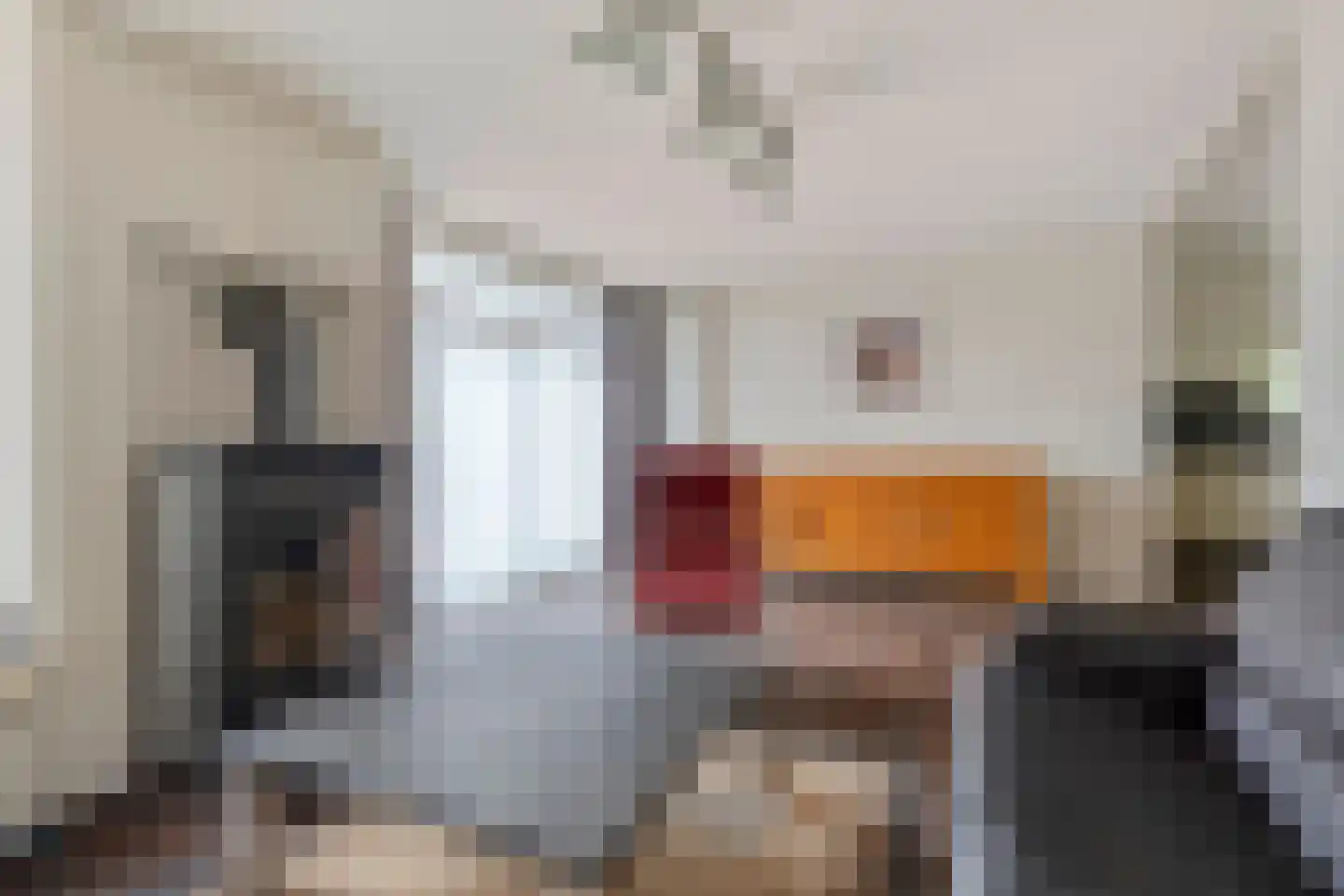 Wouwseweg 23 Halsteren thumbnail 14
