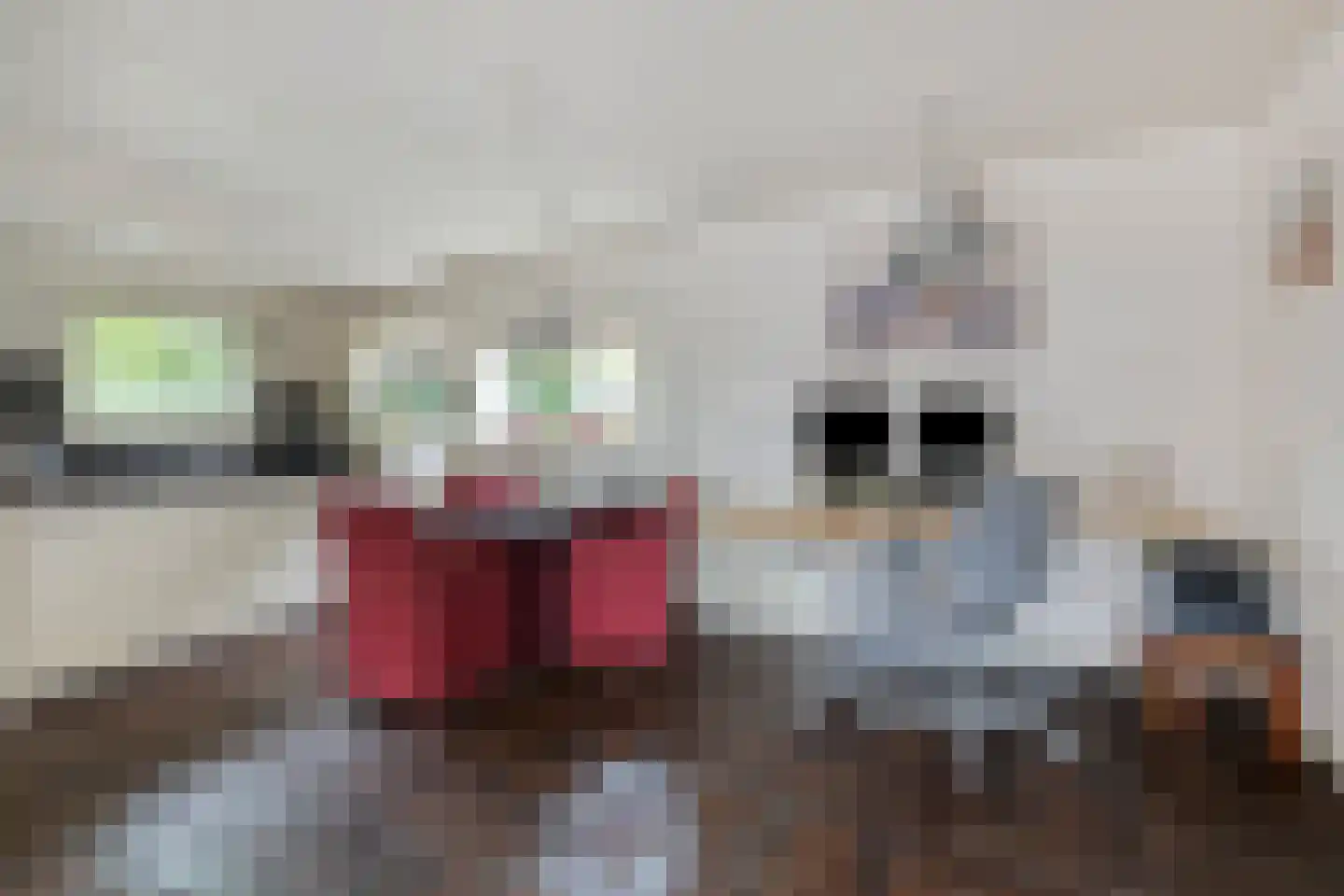 Wouwseweg 23 Halsteren thumbnail 15