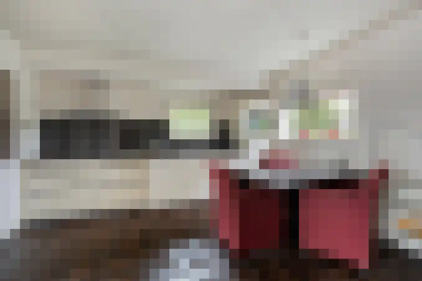 Wouwseweg 23 Halsteren thumbnail 16